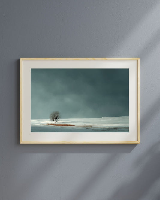 Snow in My Soul #2 - Fine Art Photograph