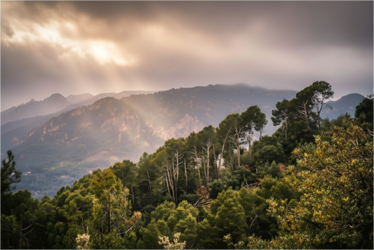 Main image Mallorca Mountains